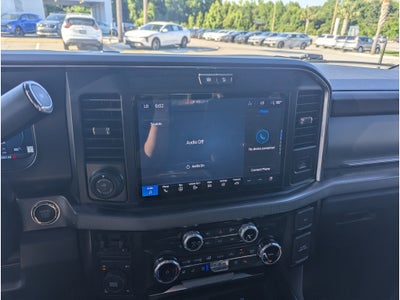 2025 Ford F-250 Platinum