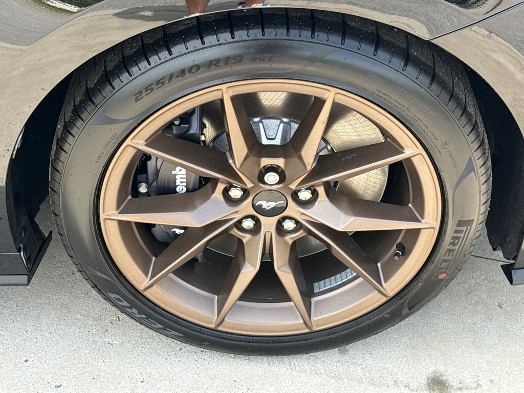 2026 Ford Mustang Dark Horse