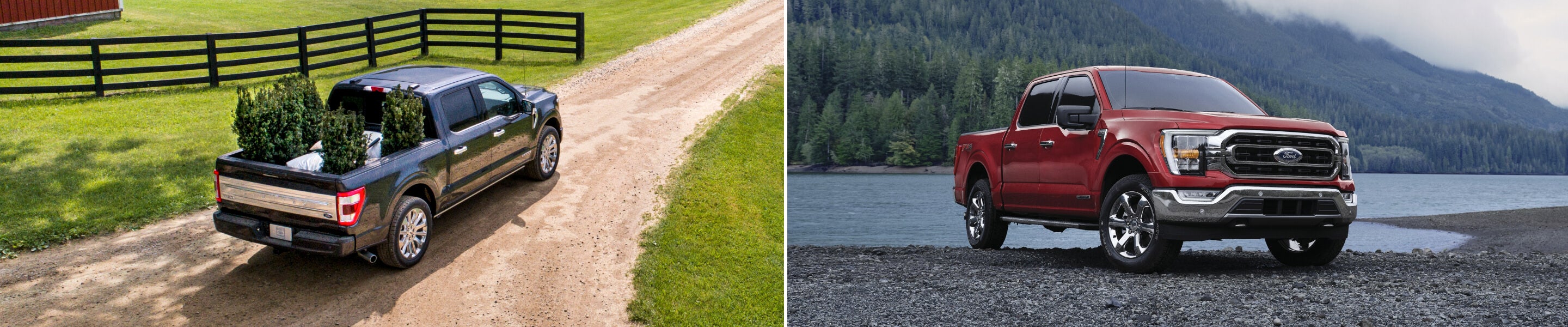 New Ford F-150 For Sale In York, SC